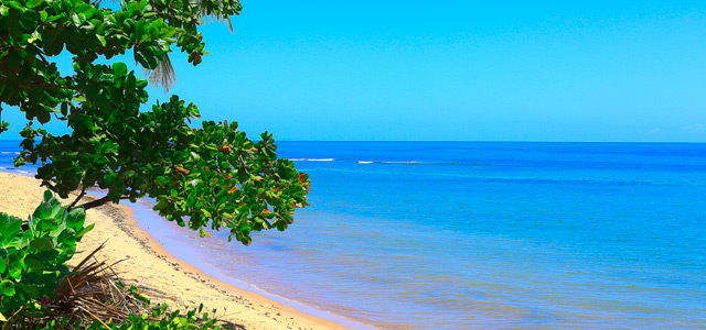 praia-do-forte-zarpo-magazine
