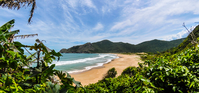 Praia do Rosa