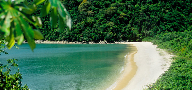 praia-do-sono-paraty-zarpo-magazine
