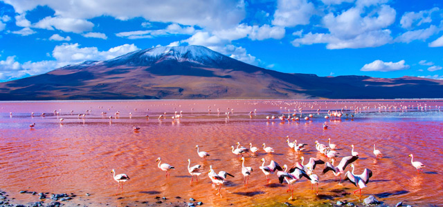 bolivia-zarpo-magazine