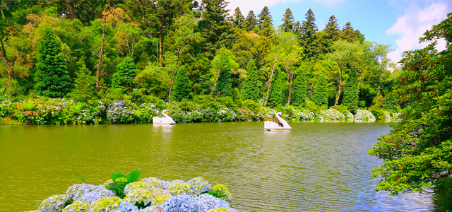 gramado-zarpo-magazine