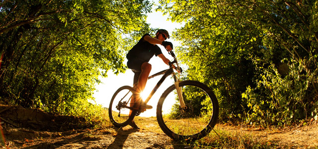 mountain-bike-zarpo-magazine