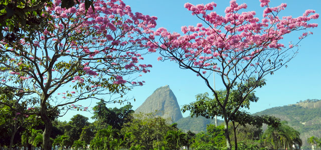 pao-de-acucar-rio-de-janeiro-zarpo-magazine