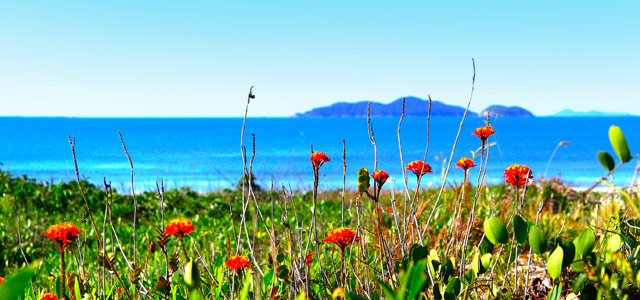 praia-florianopolis-zarpo-magazine
