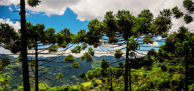 serra-da-mantiqueira-zarpo-magazine