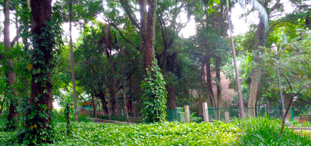 parque-buenos-aires-zarpo-magazine