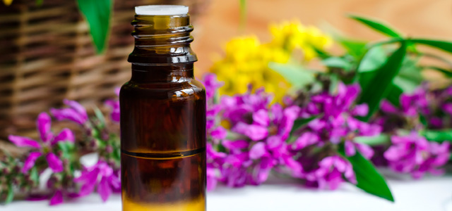 produtos-naturais-beleza-zarpo-magazine