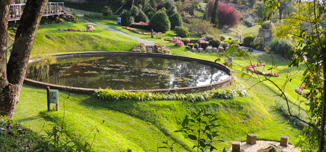 amantikir-jardim-zarpo-magazine