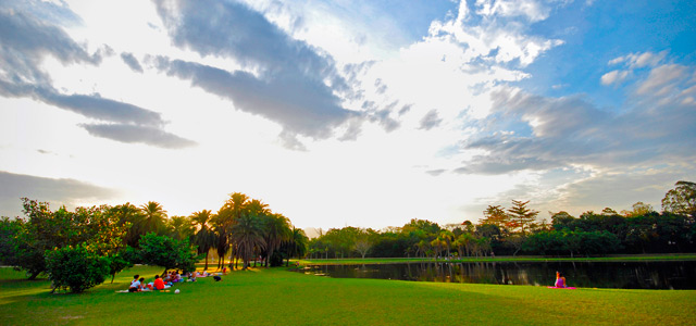 bosque-da-barra-rj-zarpo-magazine