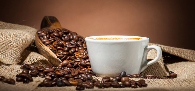 cafe-zarpo-magazine