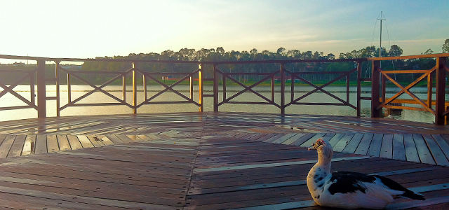 flickr-parque-sabia-uberlandia-zarpo-magazine