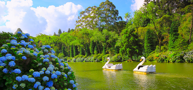 lago-negro-gramado-zarpo