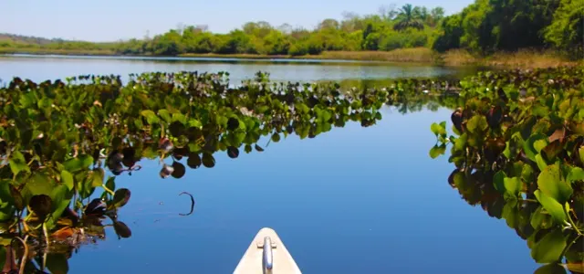 Ilha de Itaparica
