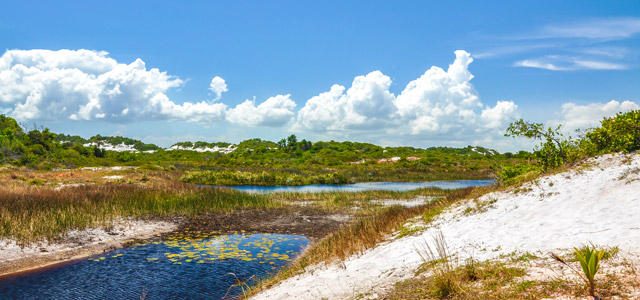 Parque das Dunas