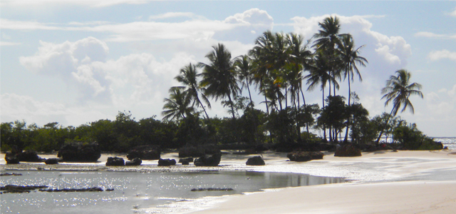 Ilha de Tinharé