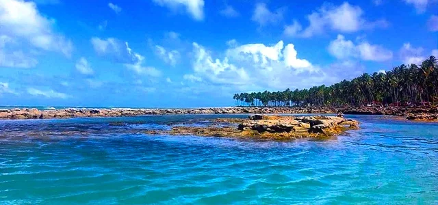 Ilha de Santo Aleixo