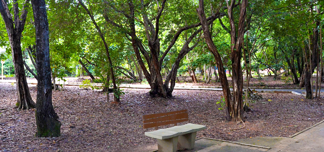 Parque Estadual Dunas de Natal