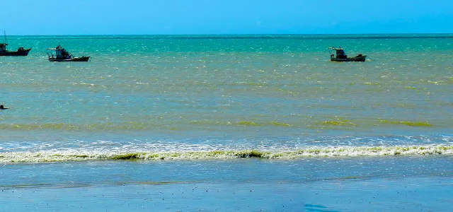 Cardeiro - São Miguel do Gostoso