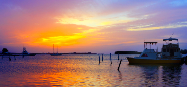 Laguna Luminosa - Montego Bay