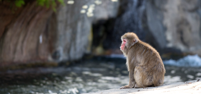 Central Park Zoo