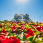 9 destinos para viajar na primavera do Brasil e curtir a estação