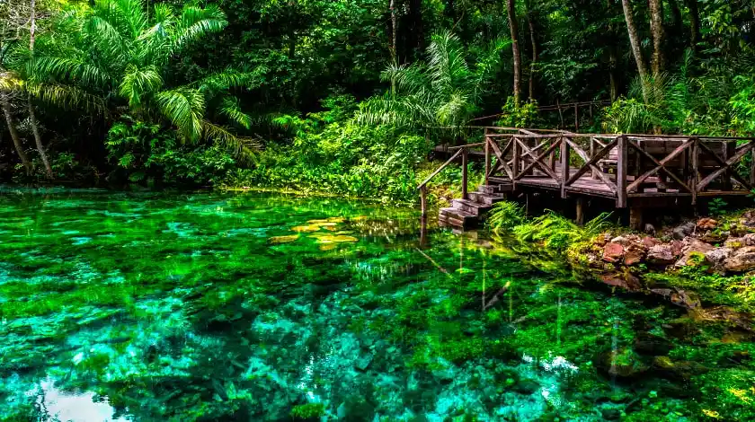 Trecho do Rio Sucuri na cidade de Bonito