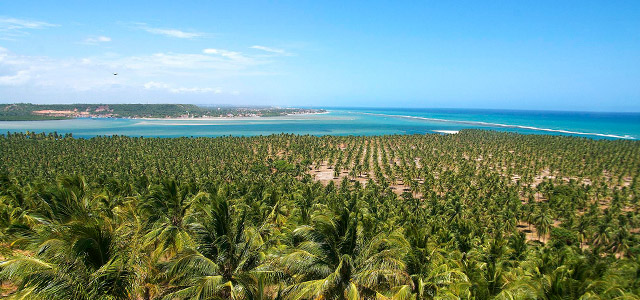 A Praia de Ipióca é rica em verde e cenários paradisíacos. Visite as melhores praias de Maceió