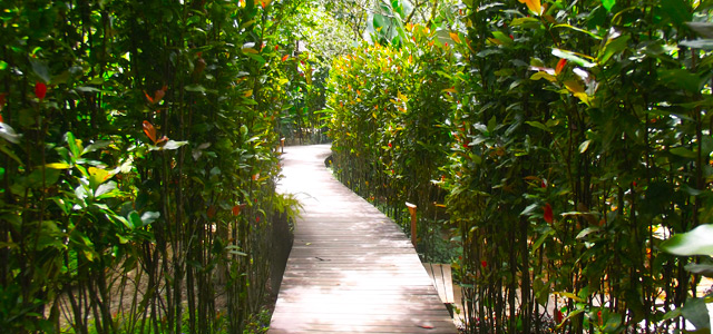 Os jardins do Villa Manakás transmitem paz!