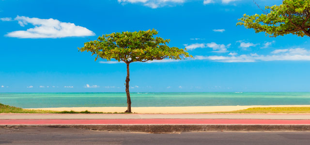 Vila velha