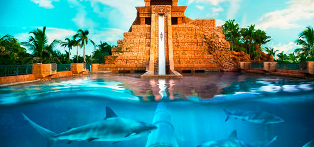 Atlantis Royal Towers - Caribe