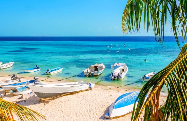 As 5 mais belas ilhas do Caribe Venezuelano