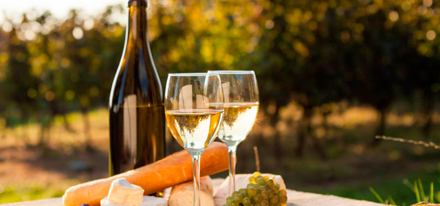 Visite as vinícolas famosas de Santiago