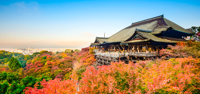 Tóquio e Quioto: as belas cidades do Japão!