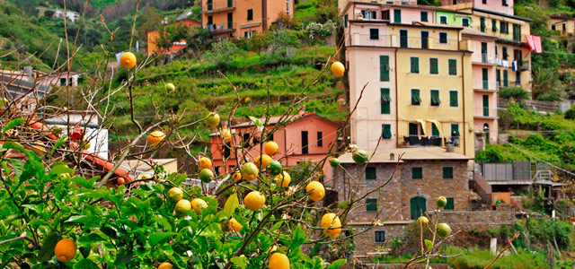 Costa Amalfitana: la dolce vita!