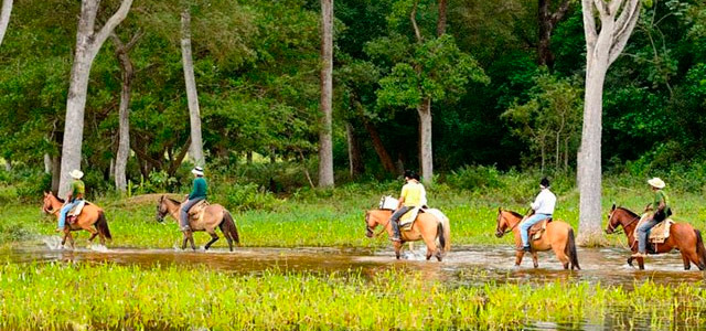 Pousada Piuval: A melhor forma de conhecer o Pantanal