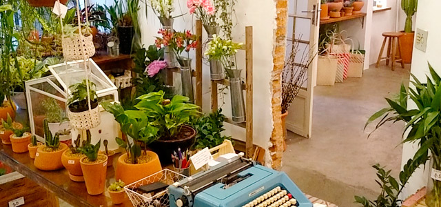 cafe-jardin-zarpo-magazine