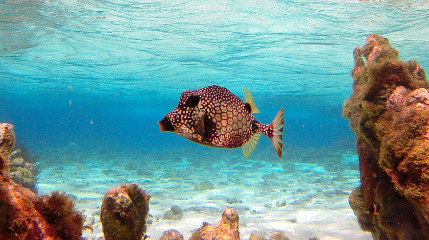 Lac Bay - Bonaire