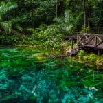 Lugares para viajar em setembro, mês da Primavera