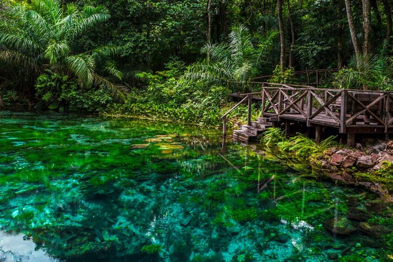Lugares para viajar em setembro, mês da Primavera