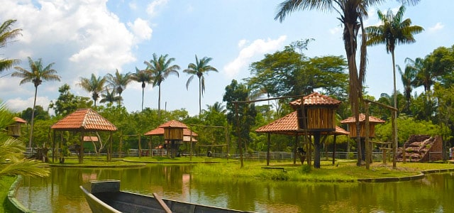 Zoológico do CIGS - Manaus