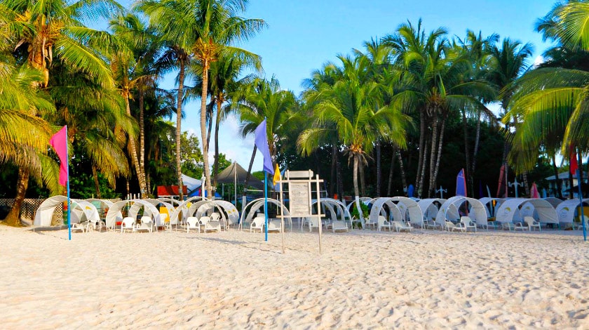 Sol Caribe Campo
