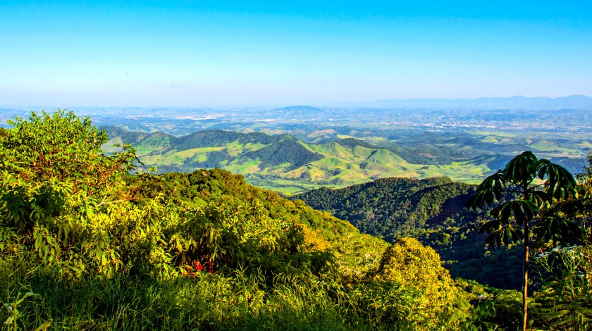 Penedo