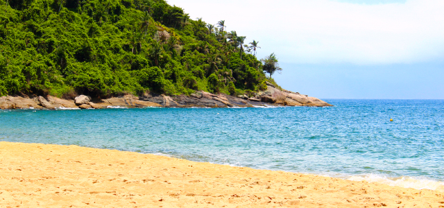 Bonete - Ilhabela