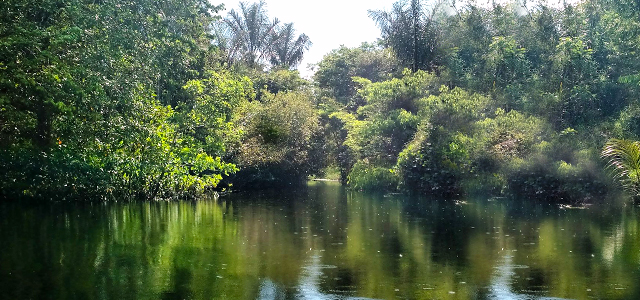 Floresta Nacional do Tapajós