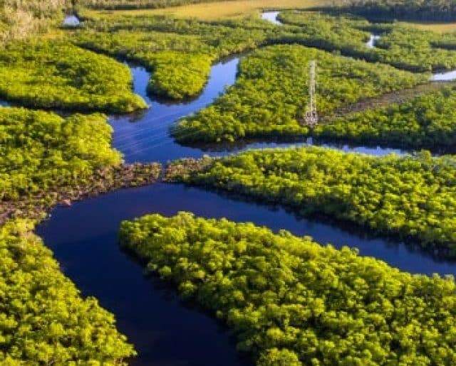 Floresta Amazônica – Amazonas: