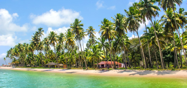 Praia dos Carneiros - Pernambuco