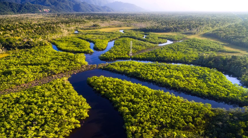 Floresta Amazônica – Amazonas: