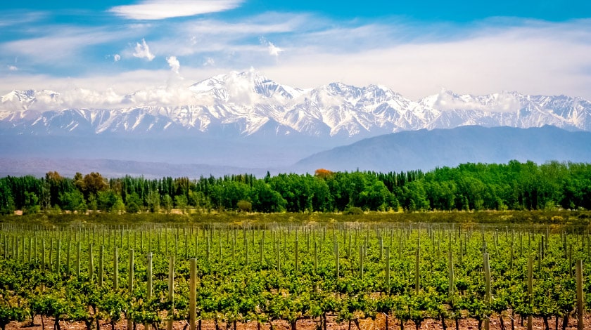 Mendoza
