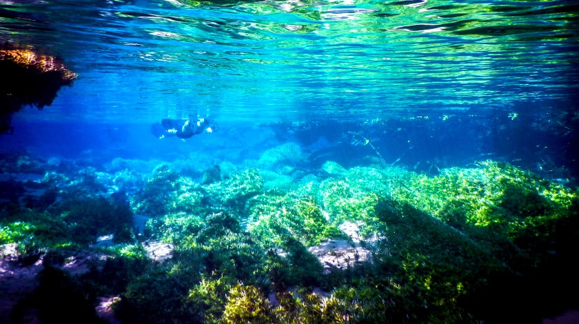 Lagoa Misteriosa - Bonito - viajar em maio