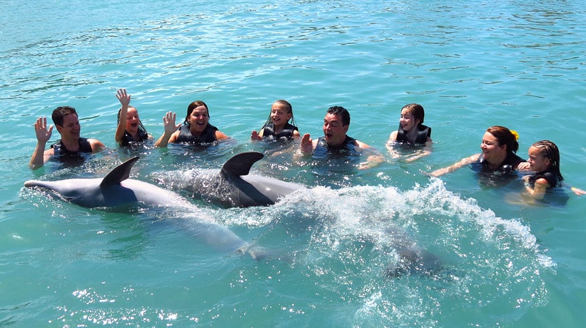Dolphin Cove - Ocho Rios